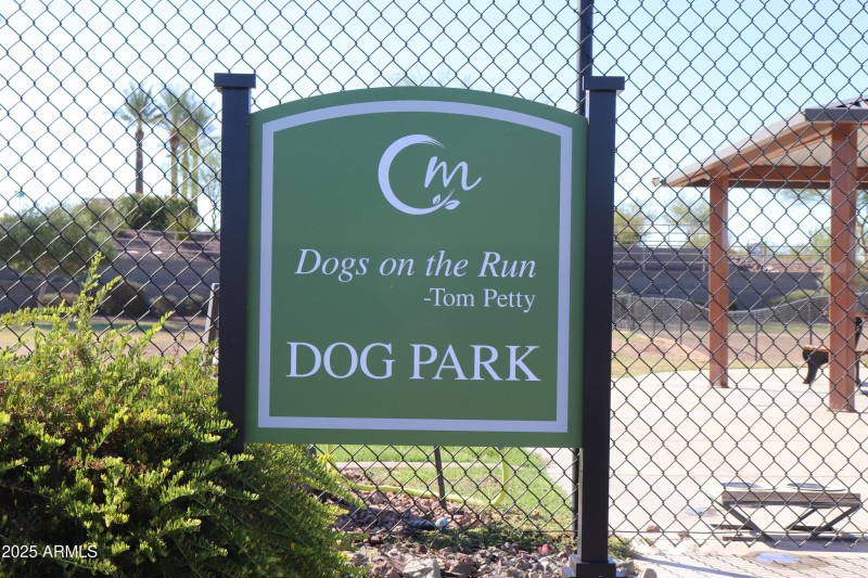 Dog Park