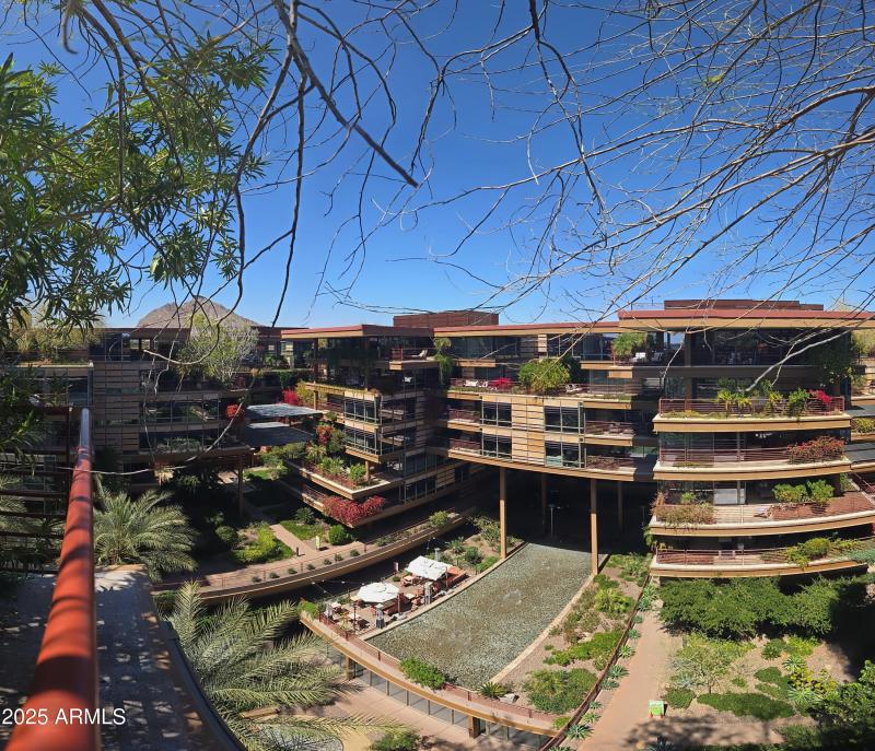 IMG_20250320_12383306