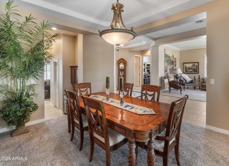 4110 W Oraibi Dr-4 (1).JPG cropped plant