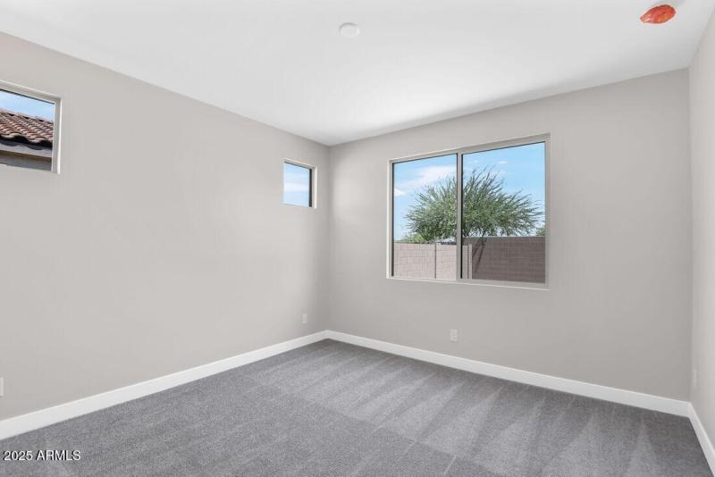 hj-az-phoenix-cantamia-dolce-lot-30151-m