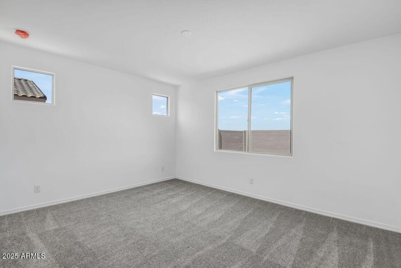 hj-az-phoenix-cantamia-marcato-lot-29036