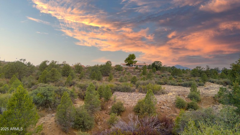 17455 s Thunder Ridge Dr00009