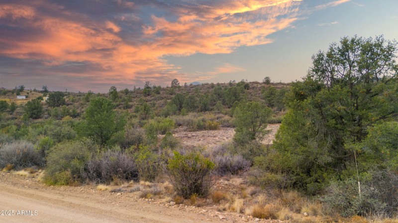 17455 s Thunder Ridge Dr00010