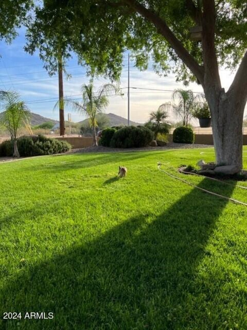 House ....................