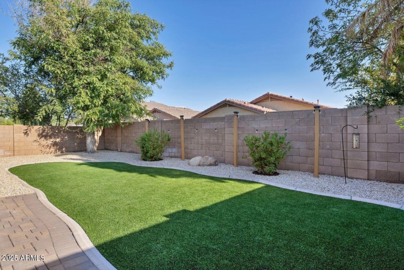 Turf in the backyard