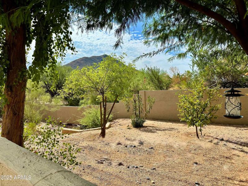 Large Common area view from Patio