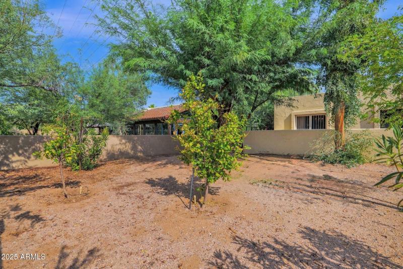 Common area behind Patio
