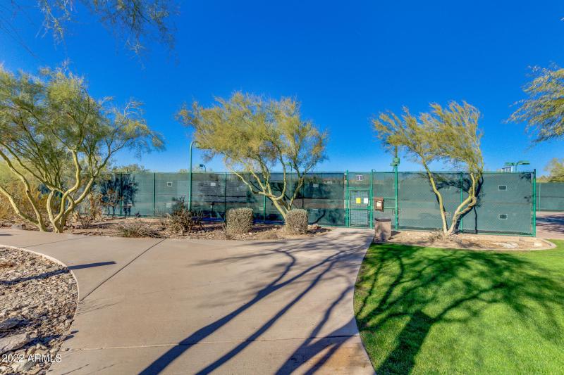 tennis and pickleball