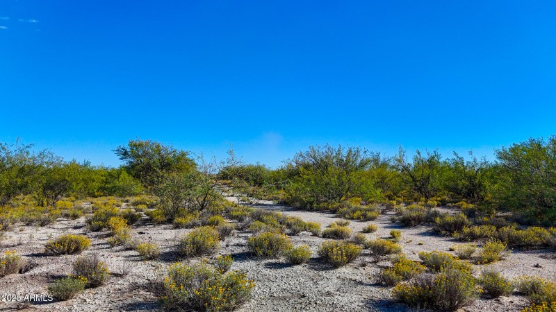 dji_fly_20240928_154516_0161_17277425138