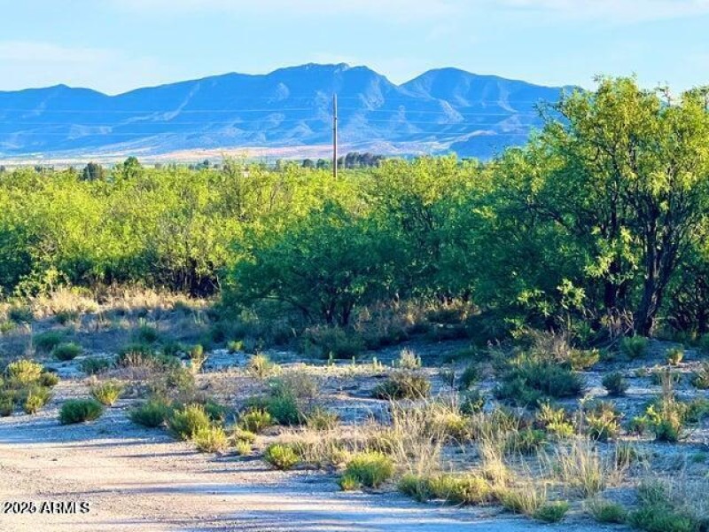 20250205065841975766000000-o