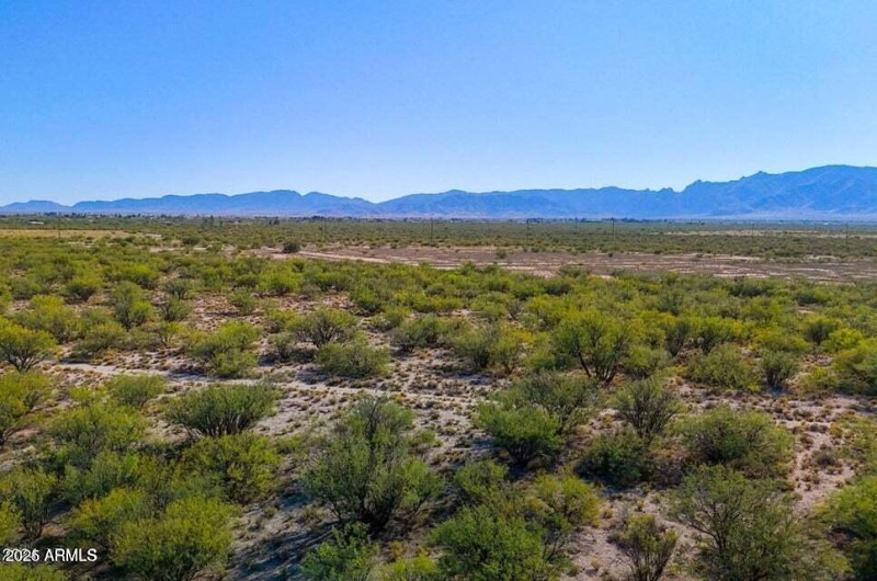 20250205065847979197000000-o