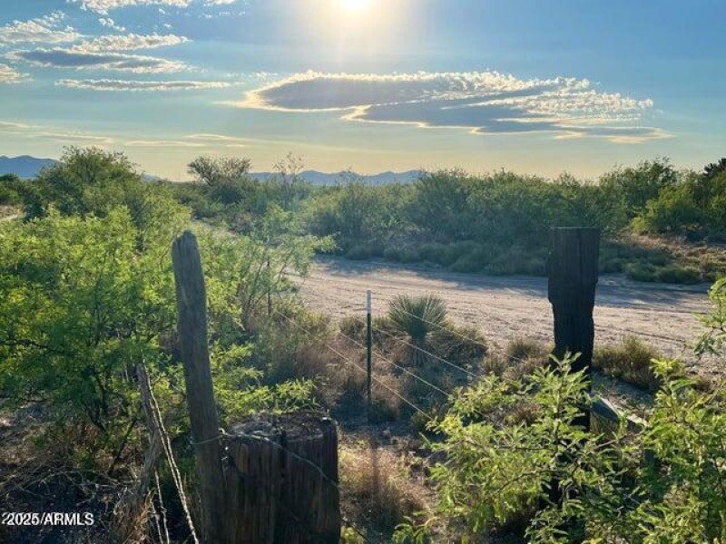 20250205065853648462000000-o