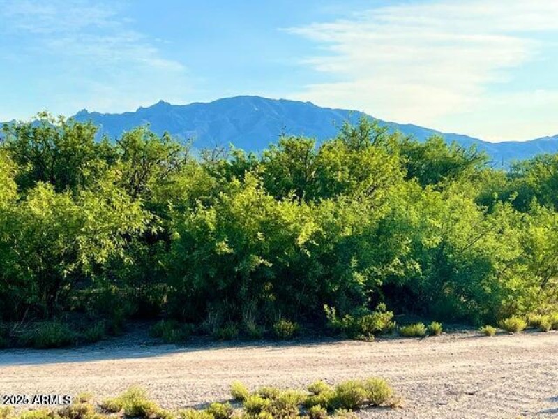 20250205070150644541000000-o