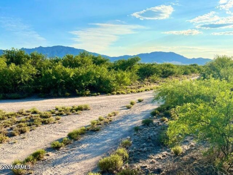 20250205070221827211000000-o