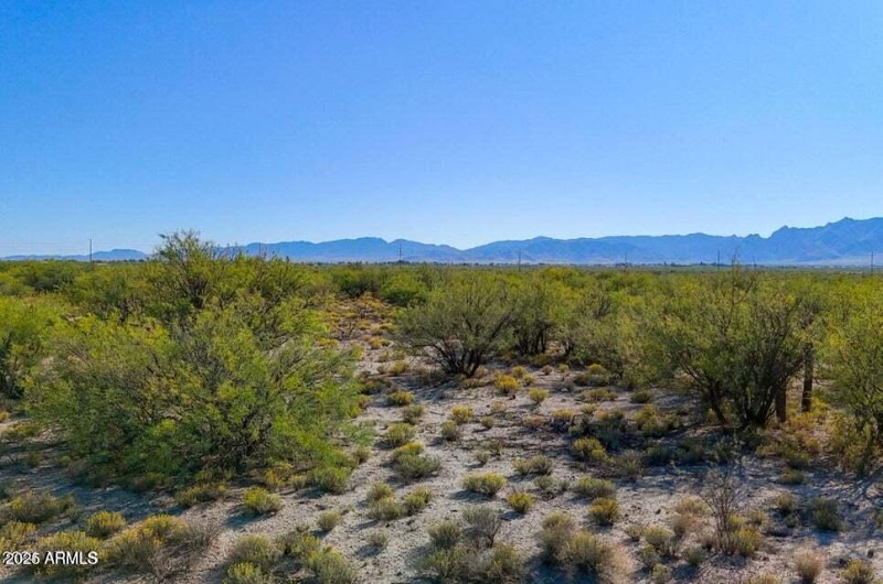 20250205070250507684000000-o