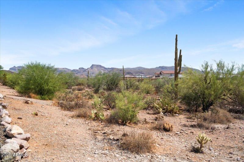 Arizona Living at its Finest