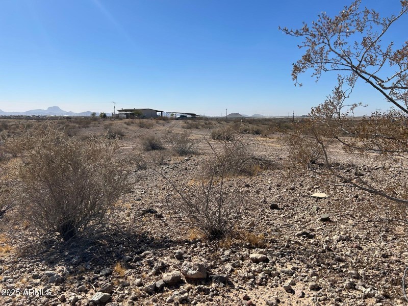 WhatsApp Image 2025-02-20 at 10.02.52 AM