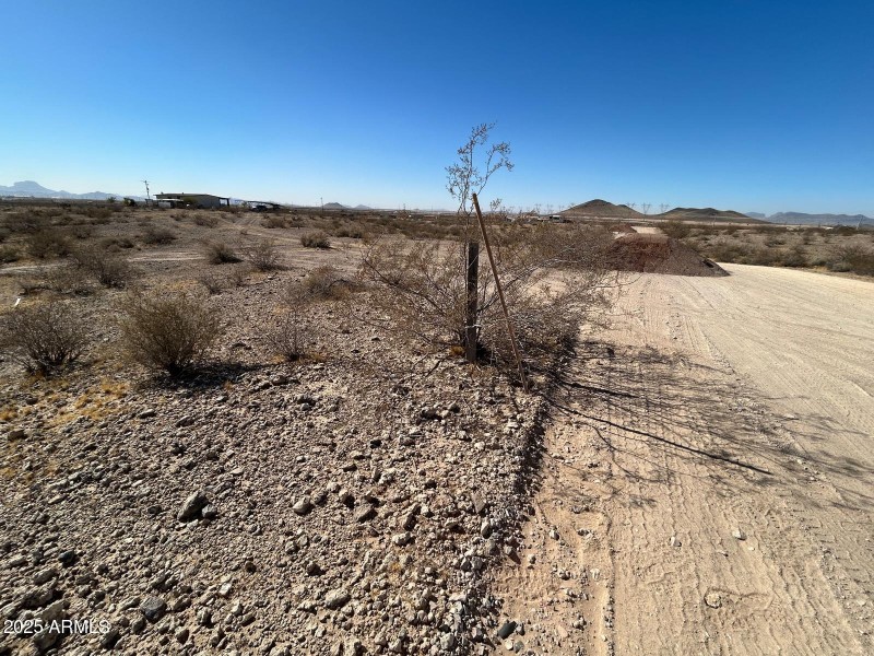 WhatsApp Image 2025-02-20 at 10.02.52 AM