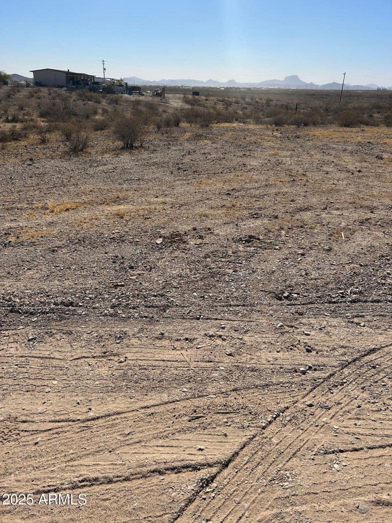 WhatsApp Image 2025-02-20 at 10.02.53 AM