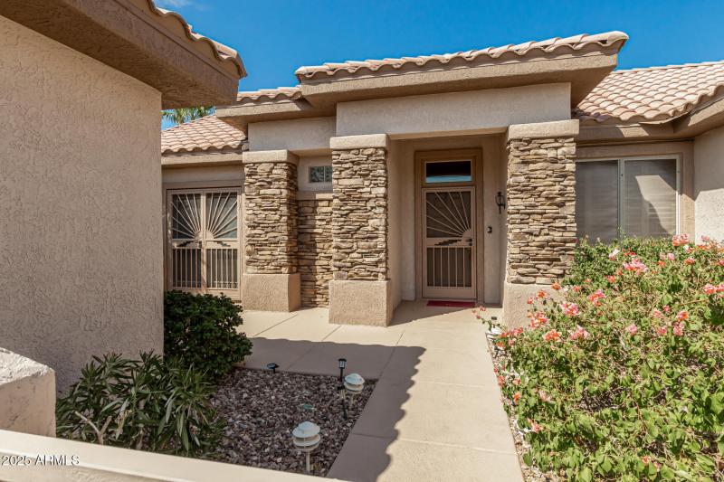 08 - Eucalyptus 15712