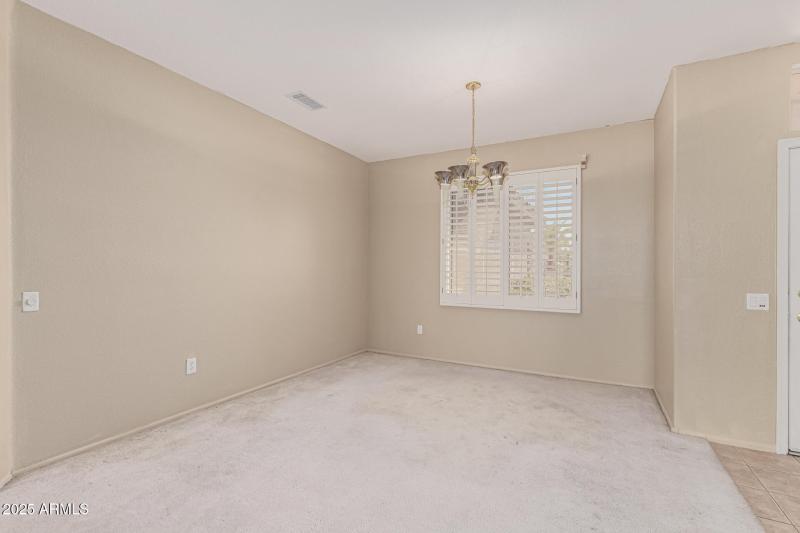 10 - Eucalyptus 15712