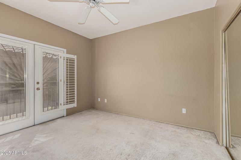 33 - Eucalyptus 15712