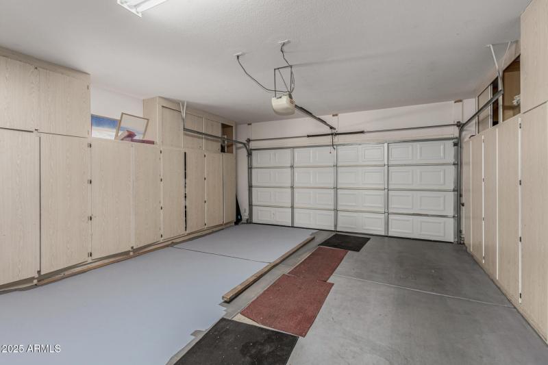 38 - Eucalyptus 15712