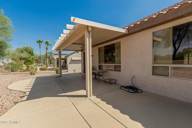 40 - Eucalyptus 15712