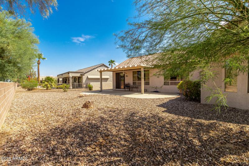 43 - Eucalyptus 15712