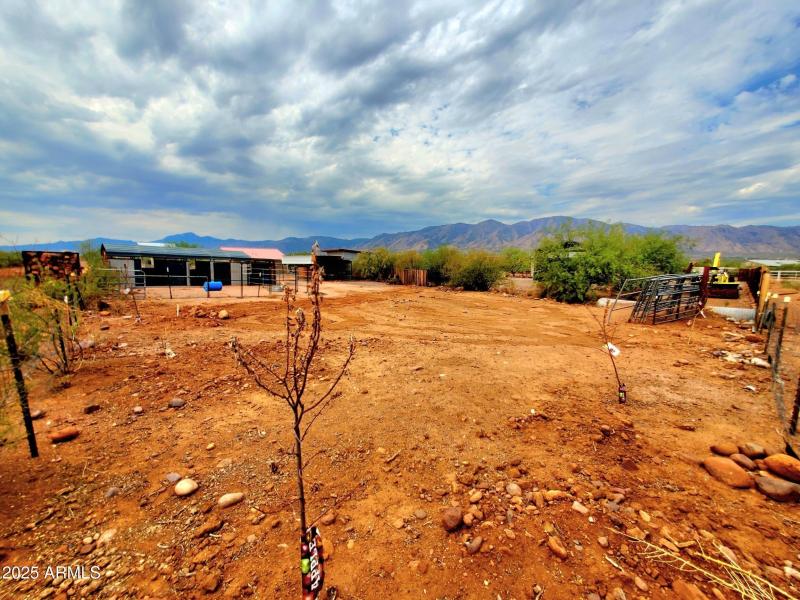 20250825_101904_resized