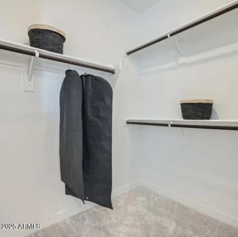 Owners Walk in Closet