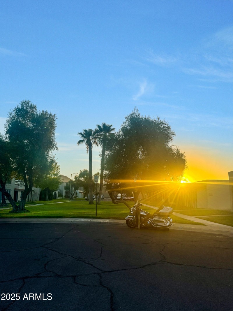 Premium cul-de-sac lot