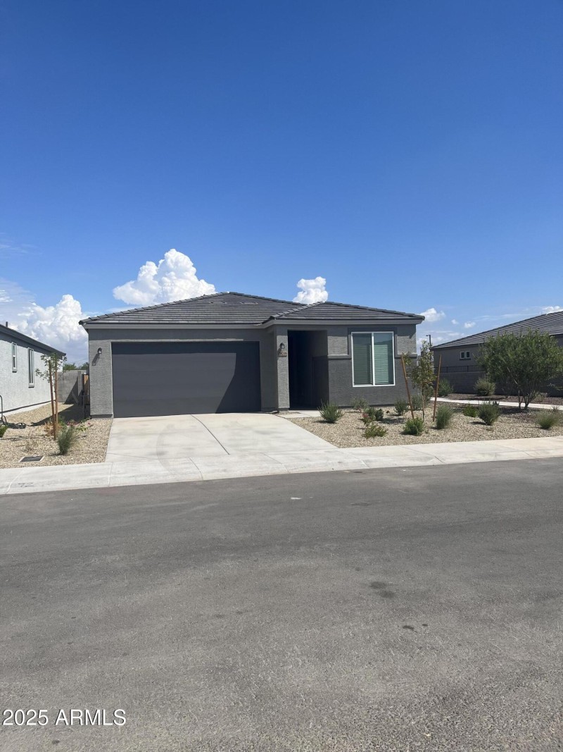 Sandhill front of home 2