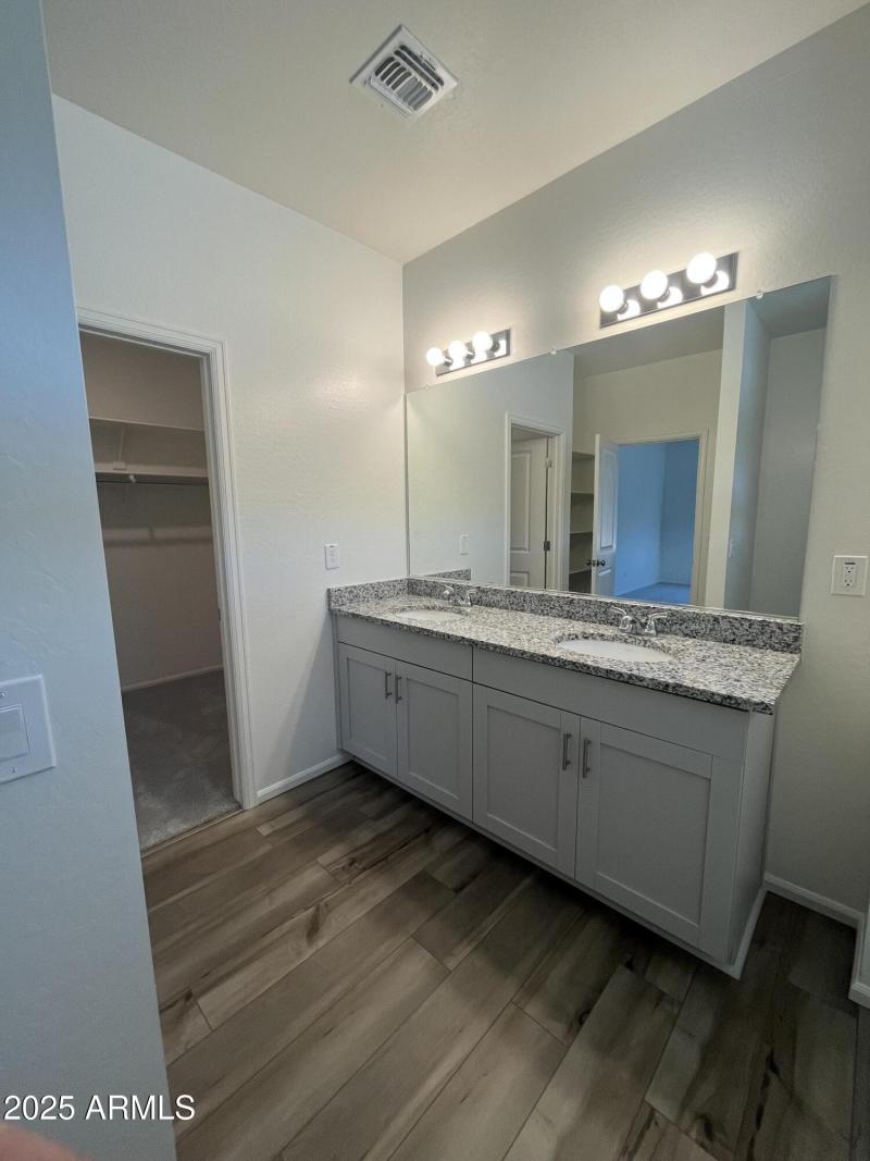 Sandhill master vanity