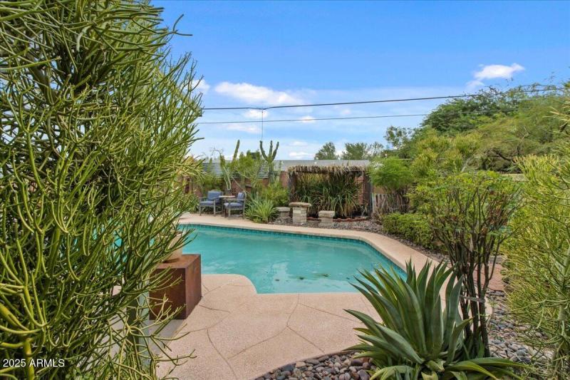 29-Back yard and pool