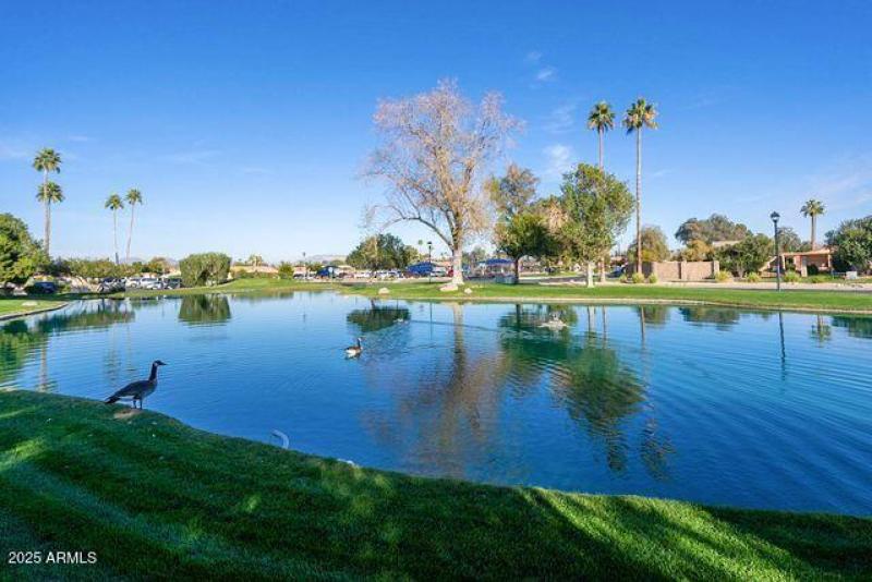 Leisure World Lagoon