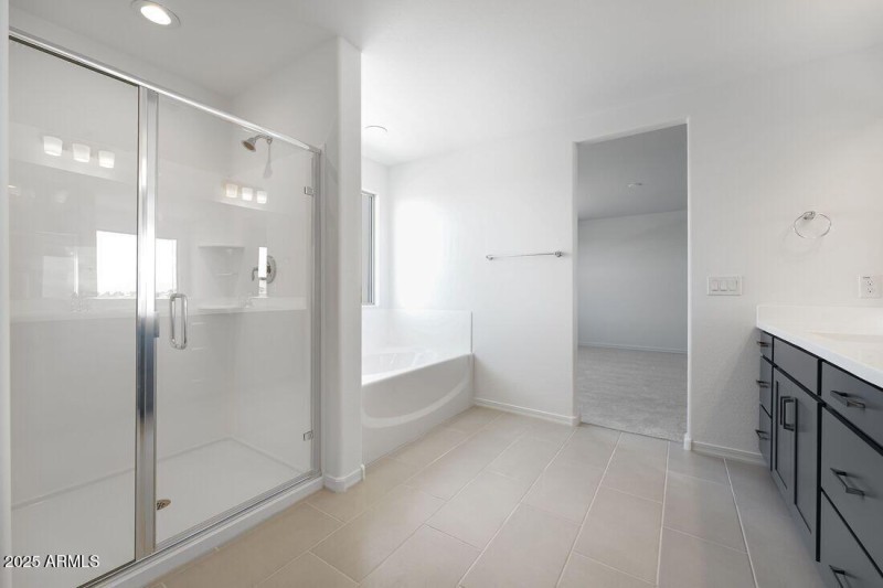 4158 E Ghost Flower Lane - Ready Now