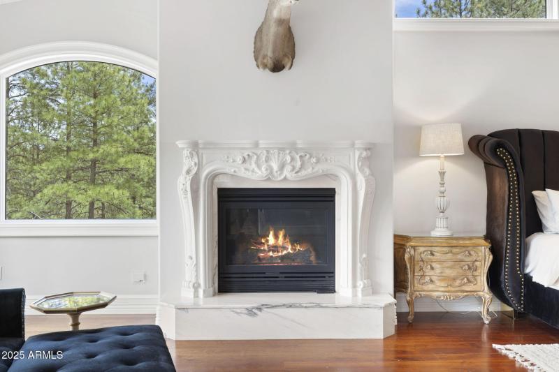 Fireplace in Primary Bedroom