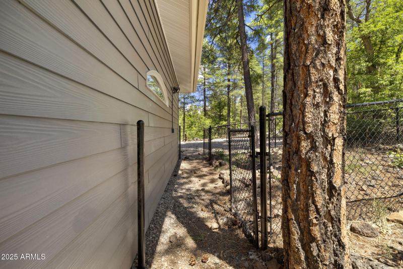 Fenced Side Yard/Dog Run