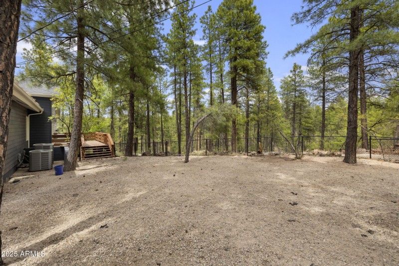 Fenced Side Yard/Dog Run