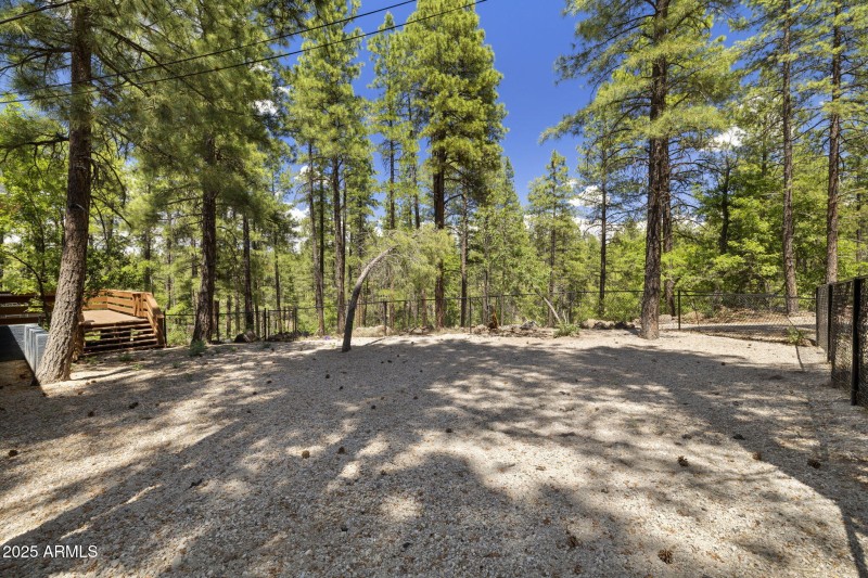 Fenced Side Yard/Dog Run