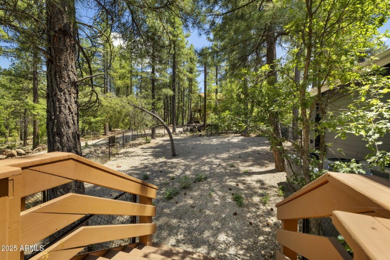 Fenced Side Yard/Dog Run