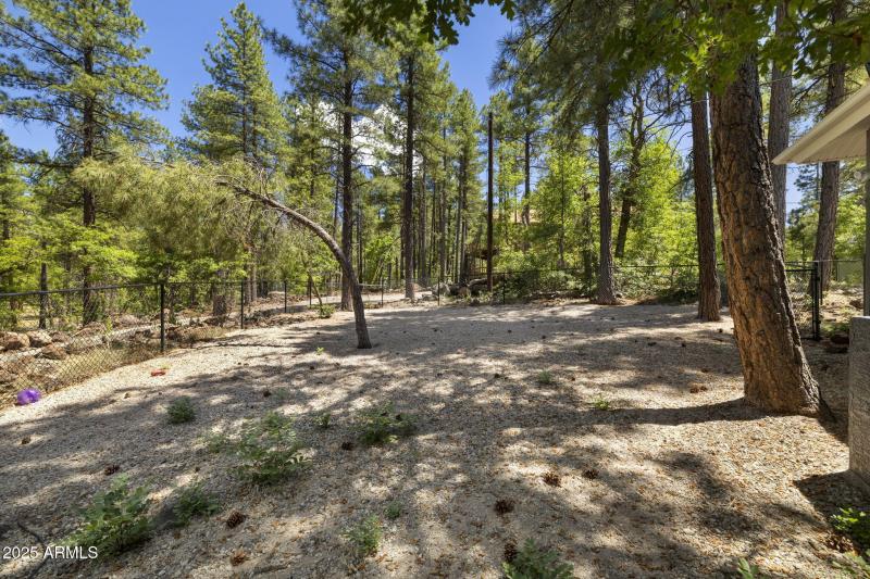 Fenced Side Yard/Dog Run