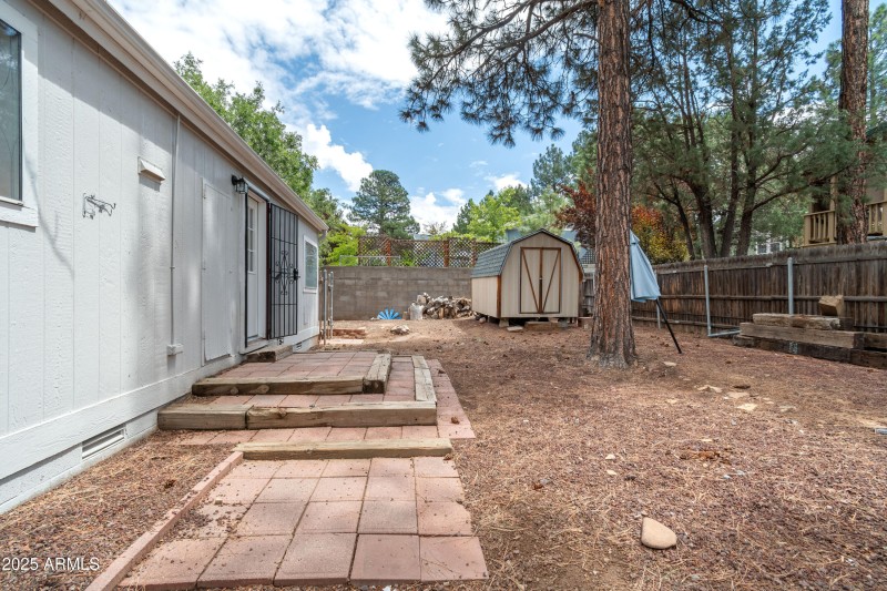 Brian Durbin Photo Backyard