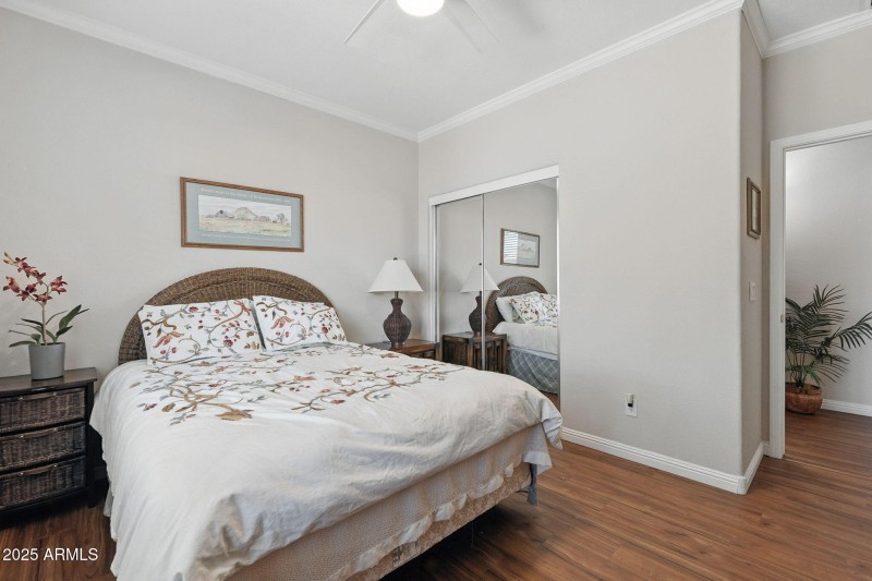 25-web-or-mls-Palm-25