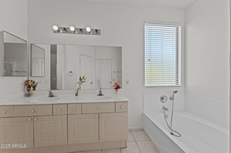 vanity and tub in primary