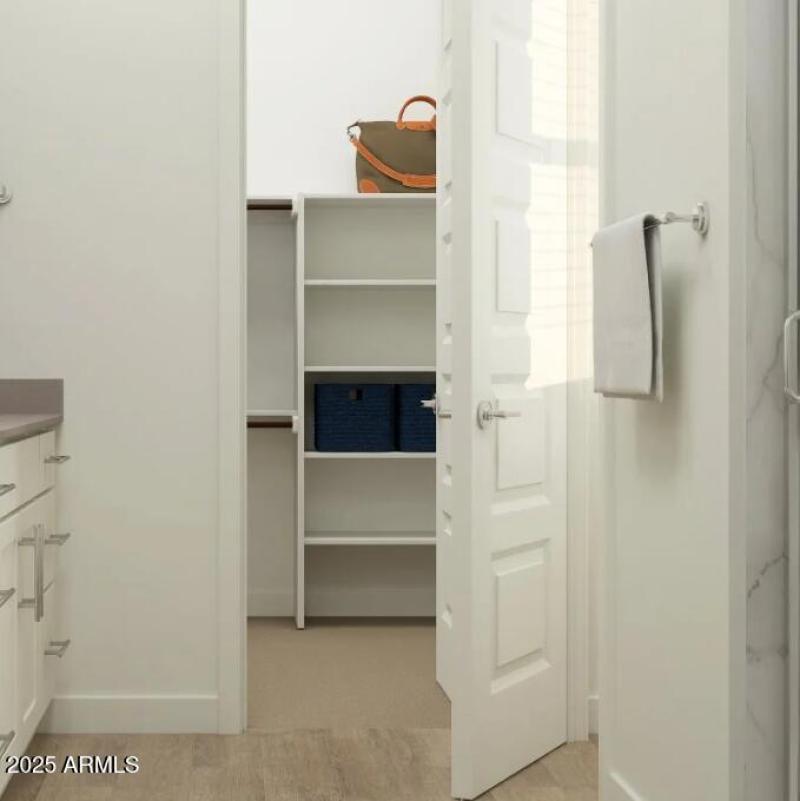 Owner's Walk in Closet