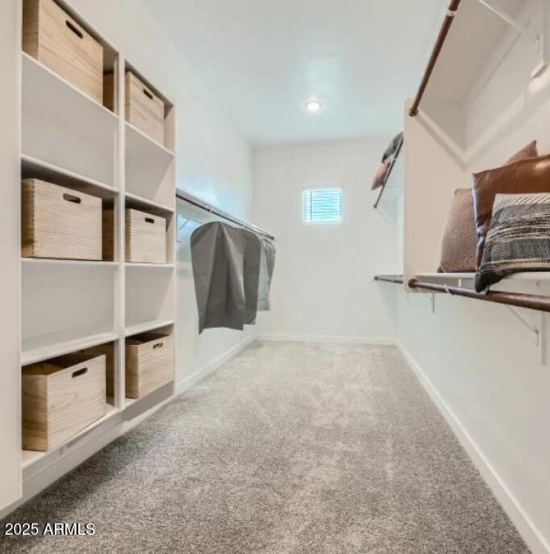 Owners Walk in Closet