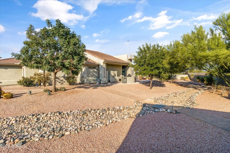 Low Maintenance Yard