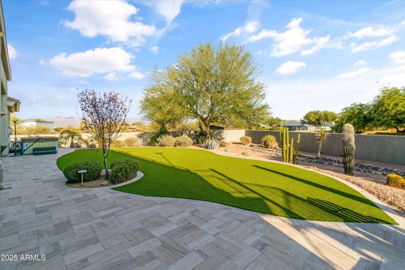 New Low Maintenance Artificial Turf